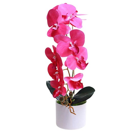 Fuksjowy storczyk orchidea Kompozycja kwiatowa 1 Pęd 55 cm KOMp68 S240 ze sklepu Pantofelek24.pl w kategorii Dekoracje - zdjęcie 179048810