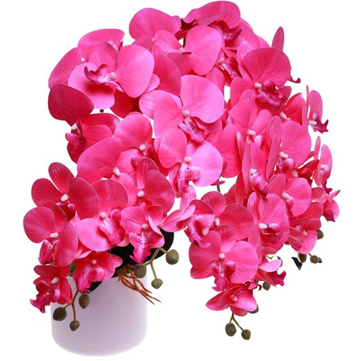 Fuksjowy duży storczyk orchidea Kompozycja kwiatowa 5 Pędów 60 cm KOMp72 S640 ze sklepu Pantofelek24.pl w kategorii Dekoracje - zdjęcie 179057691