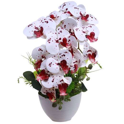 Biało bordowy storczyk orchidea Kompozycja kwiatowa 2 Pędowy 50 cm KOMp88 S340 ze sklepu Pantofelek24.pl w kategorii Dekoracje - zdjęcie 179065551
