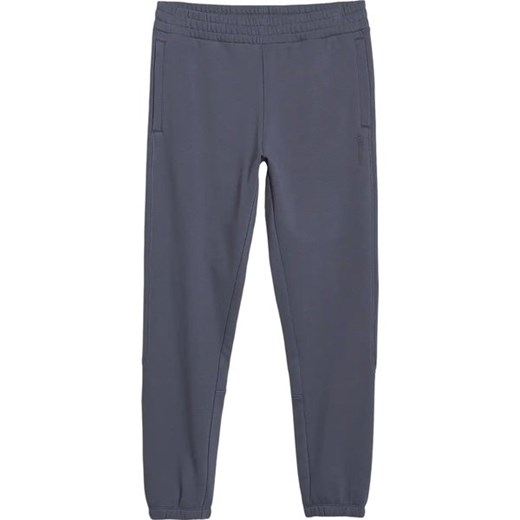 Spodnie dresowe męskie TTROM1014 4F ze sklepu SPORT-SHOP.pl w kategorii Spodnie męskie - zdjęcie 179076421
