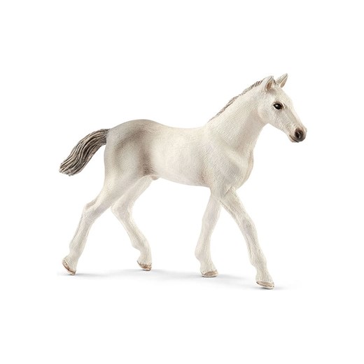Schleich Figurka &quot;Holsteiner foal&quot; do zabawy - 3+ ze sklepu Limango Polska w kategorii Zabawki - zdjęcie 179085133