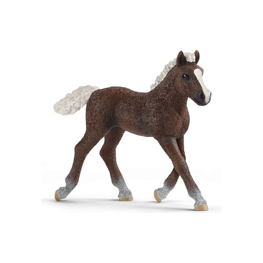 Schleich Figurka &quot;Black Forest foal&quot; do zabawy - 3+ ze sklepu Limango Polska w kategorii Zabawki - zdjęcie 179085134