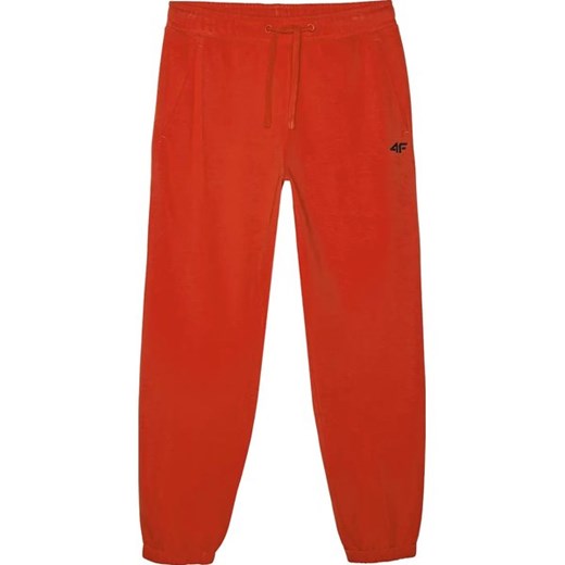 Spodnie dresowe męskie TTROM1139 4F ze sklepu SPORT-SHOP.pl w kategorii Spodnie męskie - zdjęcie 179102323