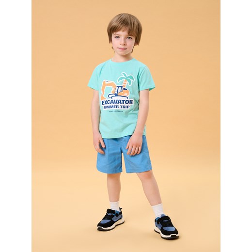 Sinsay - Koszulka - zielony Sinsay 104 Sinsay