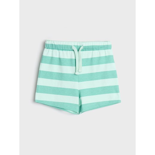 Sinsay - Komplet dzianinowy Baby Shark - zielony Sinsay 92 Sinsay