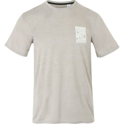 Koszulka męska Fingal IX Regatta ze sklepu SPORT-SHOP.pl w kategorii T-shirty męskie - zdjęcie 179194370