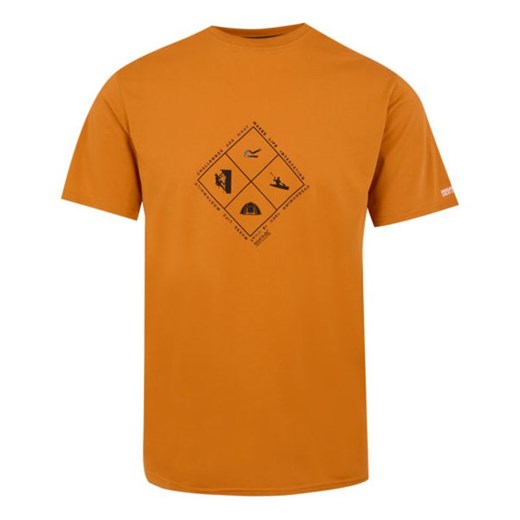 Koszulka męska Fingal Stretch Regatta ze sklepu SPORT-SHOP.pl w kategorii T-shirty męskie - zdjęcie 179219193