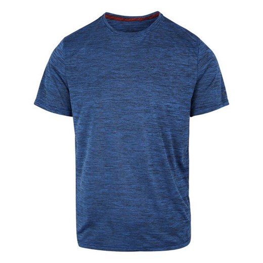 Koszulka męska Fingal Edition Regatta ze sklepu SPORT-SHOP.pl w kategorii T-shirty męskie - zdjęcie 179219441