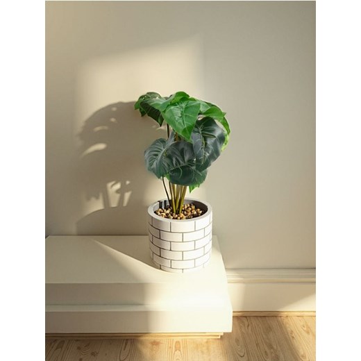 Sinsay - Roślina ozdobna w ceramicznej doniczce - zielony Sinsay One Size Sinsay