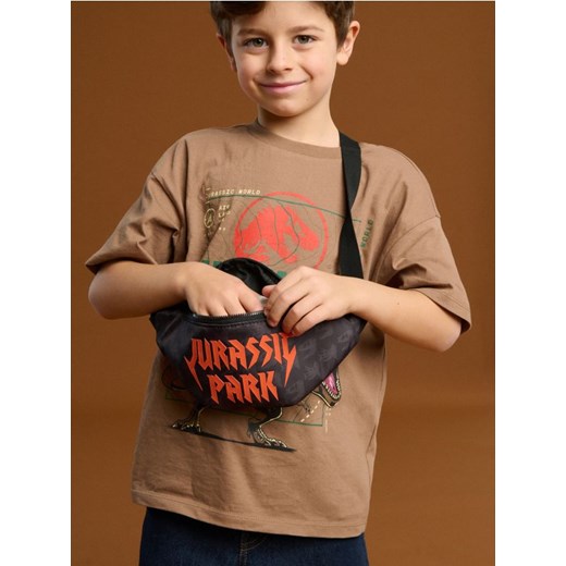 Sinsay - Nerka Jurassic Park - czarny ze sklepu Sinsay w kategorii Torby i walizki dziecięce - zdjęcie 179343783