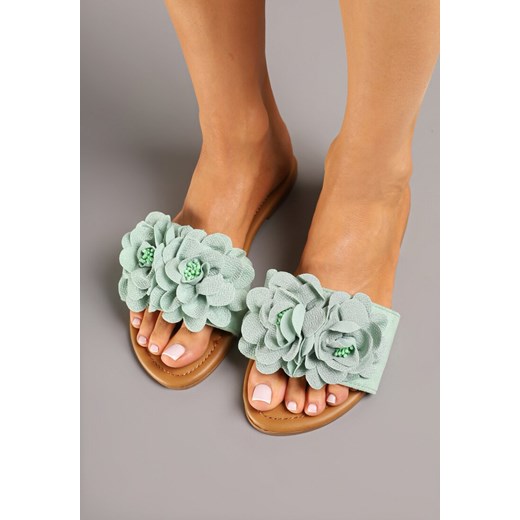 Klapki damskie Renee casual
