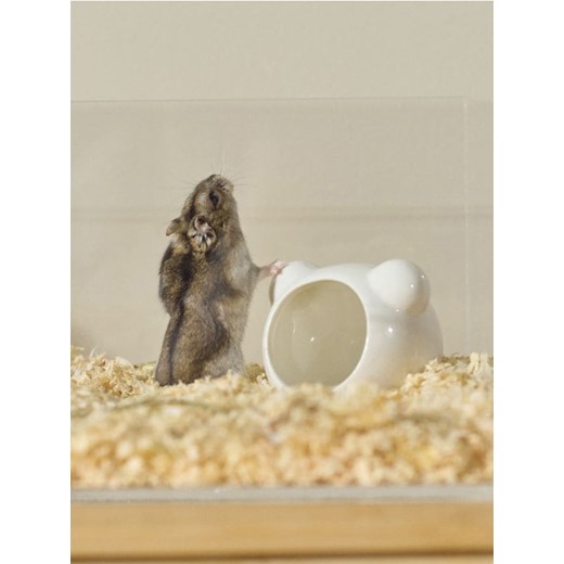 Sinsay - Ceramiczny domek dla chomika - biały Sinsay One Size Sinsay