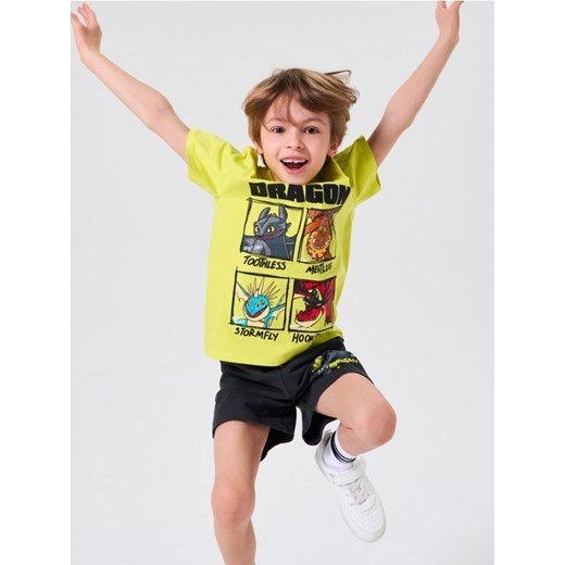 Sinsay - Koszulka z nadrukiem How to train your dragon - zielony ze sklepu Sinsay w kategorii T-shirty chłopięce - zdjęcie 179408990