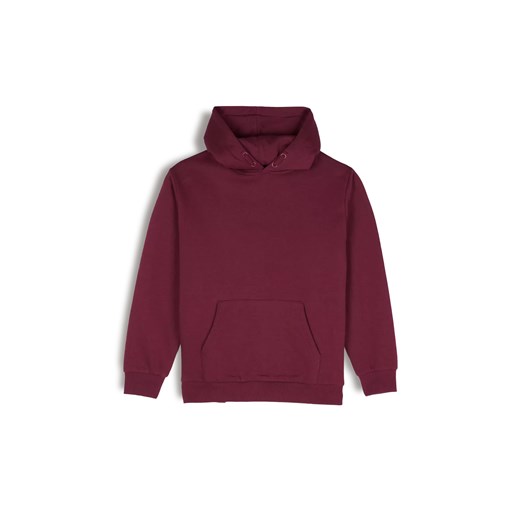 GATE Bluza basic z kapturem 3Y ze sklepu gateshop w kategorii Bluzy chłopięce - zdjęcie 179466283