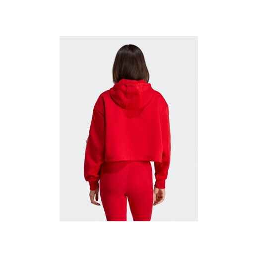 adidas Bluza Adicolor Classics Crop Hoodie IB7389 Czerwony Loose Fit L MODIVO