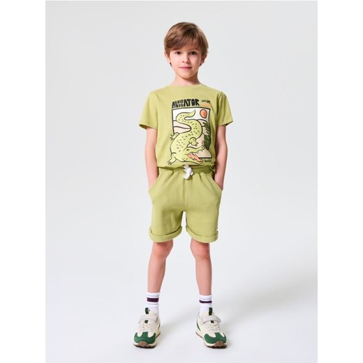 Sinsay - Koszulka z nadrukiem - zielony ze sklepu Sinsay w kategorii T-shirty chłopięce - zdjęcie 179476974