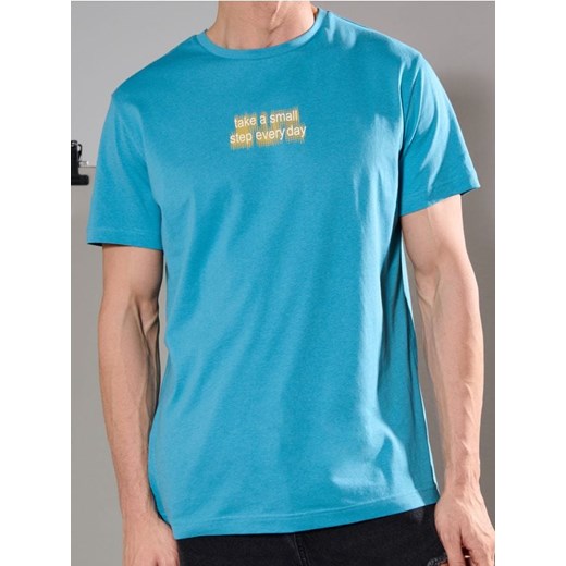 Sinsay - Koszulka - niebieski ze sklepu Sinsay w kategorii T-shirty męskie - zdjęcie 179503022