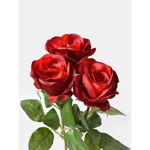 Sinsay - Roślina ozdobna 3 pack - Sztuczne róże - czerwony Sinsay One Size Sinsay