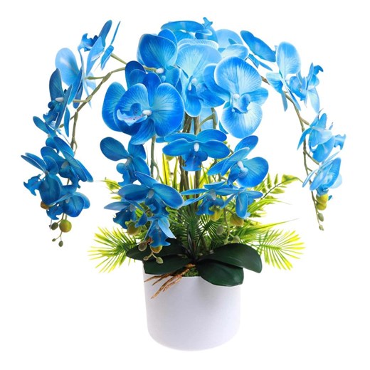 Niebieski storczyk orchidea Kompozycja kwiatowa 5 Pędów 60 cm KOMp62 S546 ze sklepu Pantofelek24.pl w kategorii Dekoracje - zdjęcie 179575662