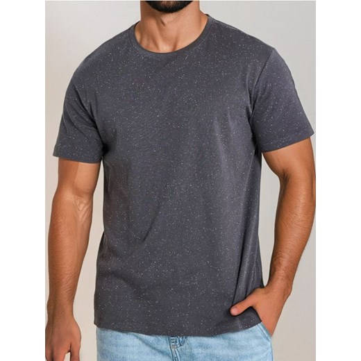 Sinsay - Koszulka basic - szary ze sklepu Sinsay w kategorii T-shirty męskie - zdjęcie 179668764