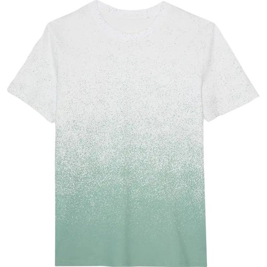Koszulka męska TTSHM2538 4F ze sklepu SPORT-SHOP.pl w kategorii T-shirty męskie - zdjęcie 179703061