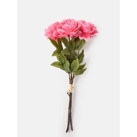 Sinsay - Roślina dekoracyjna 3 pack - piwonia - różowy Sinsay One Size Sinsay