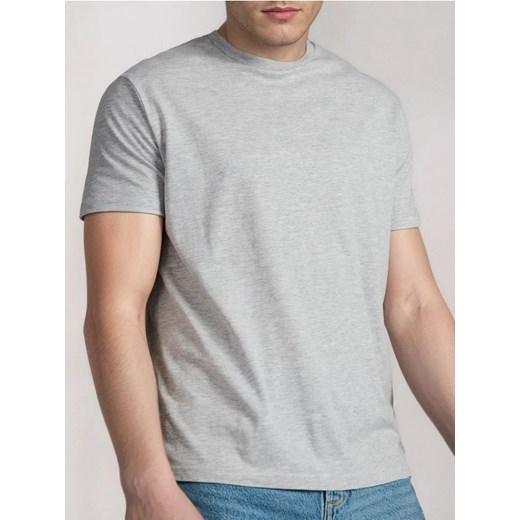 Sinsay - Koszulka - szary ze sklepu Sinsay w kategorii T-shirty męskie - zdjęcie 180267211