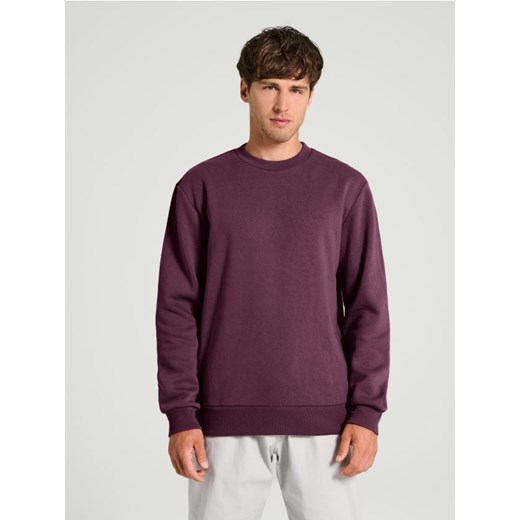 Sinsay - Bluza z długimi rękawami - czerwony ze sklepu Sinsay w kategorii Bluzy męskie - zdjęcie 180362881