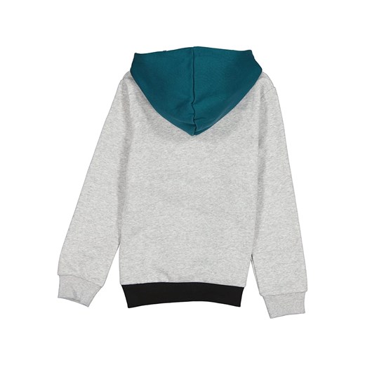 Bluza chłopięca Puma bawełniana 