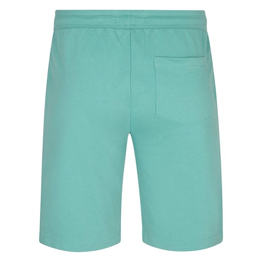 Spodenki męskie Petrol 