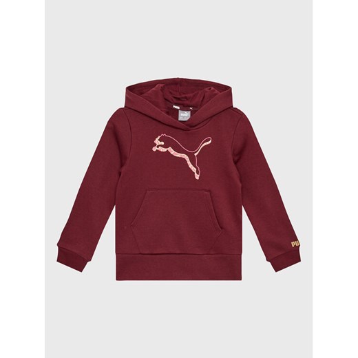 Puma Bluza Alpha 670226 Bordowy Regular Fit ze sklepu MODIVO w kategorii Bluzy chłopięce - zdjęcie 182610822