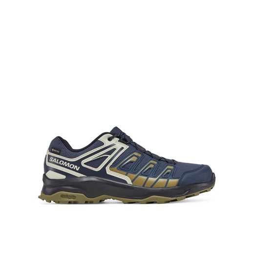 Salomon Trekkingi Extegra Gore-Tex L47799800 Szary Salomon 40 MODIVO