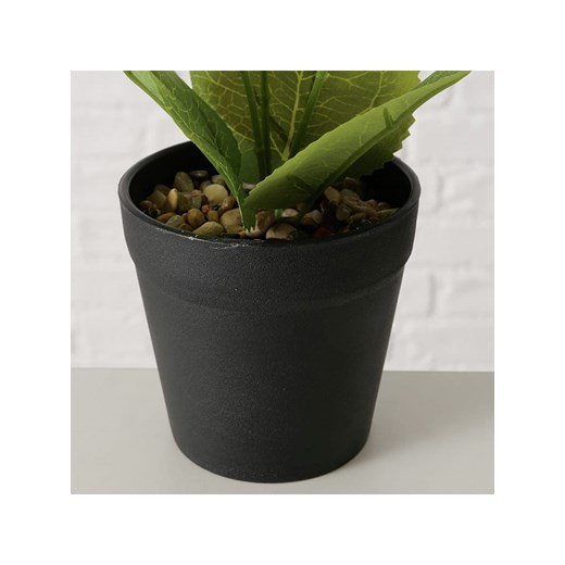 Boltze Roślina doniczkowa w kolorze zielono-żółtym - wys. 33 x Ø 25 cm Boltze onesize wyprzedaż Limango Polska