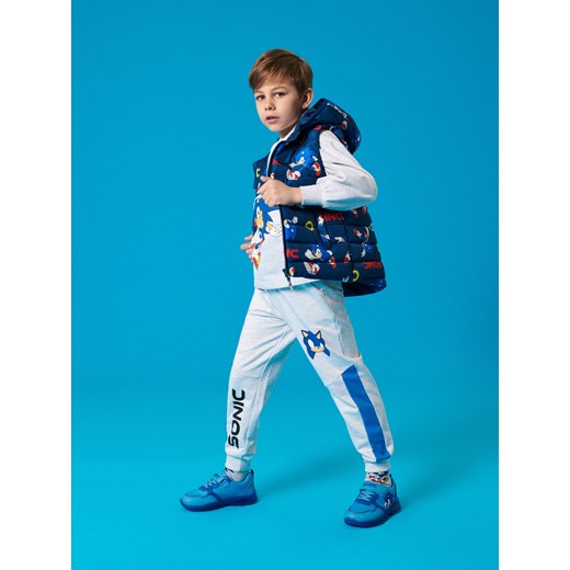 Sinsay - Spodnie dresowe ze ściągaczami Sonic the Hedgehog: Modern - szary Sinsay 134 (8-9 l) Sinsay