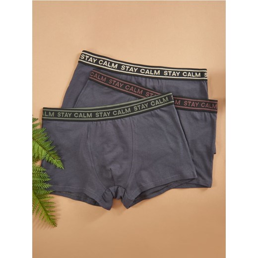 Sinsay - Bokserki Classic 3 pack - wielobarwny Sinsay XXL Sinsay