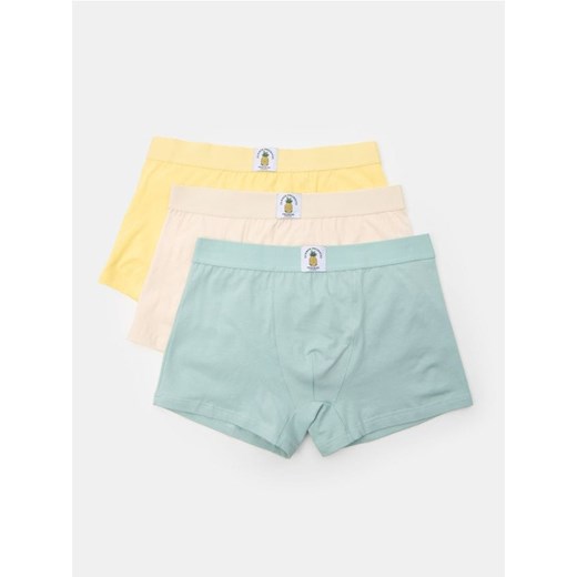 Sinsay - Bokserki Classic z ozdobną owocową naszywką 3 pack - wielobarwny ze sklepu Sinsay w kategorii Majtki męskie - zdjęcie 183672262
