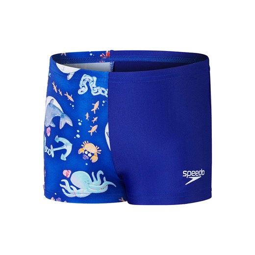 Speedo Kąpielówki &quot;Eco Dig Allover&quot; w kolorze niebieskim ze sklepu Limango Polska w kategorii Kąpielówki chłopięce - zdjęcie 183673790