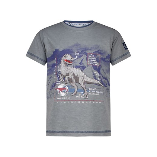 T-shirt chłopięce Salt & Pepper 