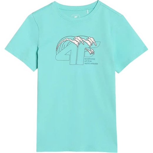 Koszulka chłopięca TTSHM1917 4F ze sklepu SPORT-SHOP.pl w kategorii T-shirty chłopięce - zdjęcie 183850904