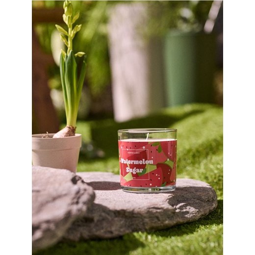 Sinsay - Świeca zapachowa Watermelon Sugar - czerwony Sinsay One Size Sinsay