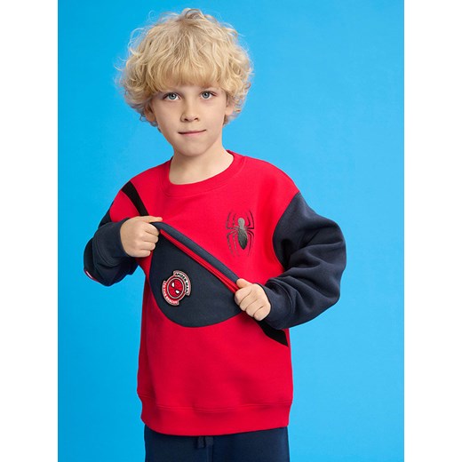 COOL CLUB Bluza w kolorze czerwono-granatowym ze sklepu Limango Polska w kategorii Bluzy chłopięce - zdjęcie 183871044