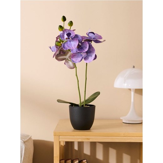 Sinsay - Roślina ozdobna - fioletowy ze sklepu Sinsay w kategorii Dekoracje - zdjęcie 183891993