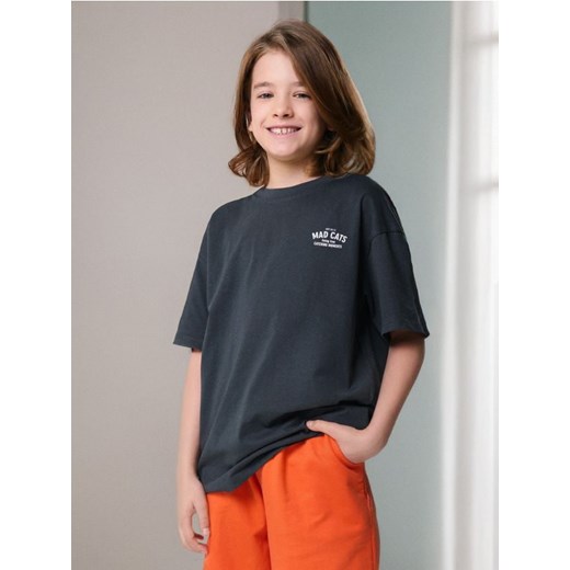 Sinsay - Koszulka oversize ze zwierzęcym nadrukiem na plecach - szary ze sklepu Sinsay w kategorii T-shirty chłopięce - zdjęcie 183897730