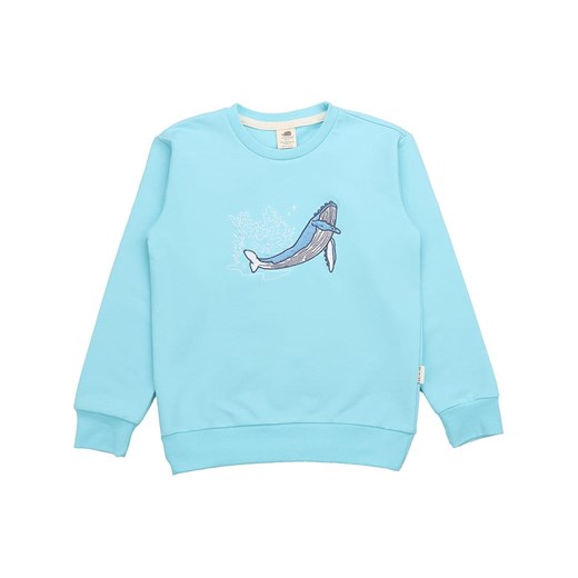 Walkiddy Bluza w kolorze błękitnym ze sklepu Limango Polska w kategorii Bluzy chłopięce - zdjęcie 183899212