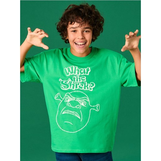 Sinsay - Koszulka Shrek - zielony ze sklepu Sinsay w kategorii T-shirty chłopięce - zdjęcie 183916383