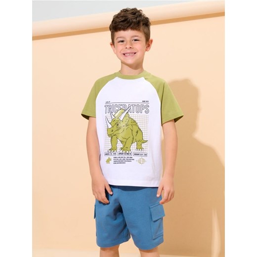 Sinsay - Komplet dzianinowy z motywem dinozaura - wielobarwny ze sklepu Sinsay w kategorii T-shirty chłopięce - zdjęcie 183916451