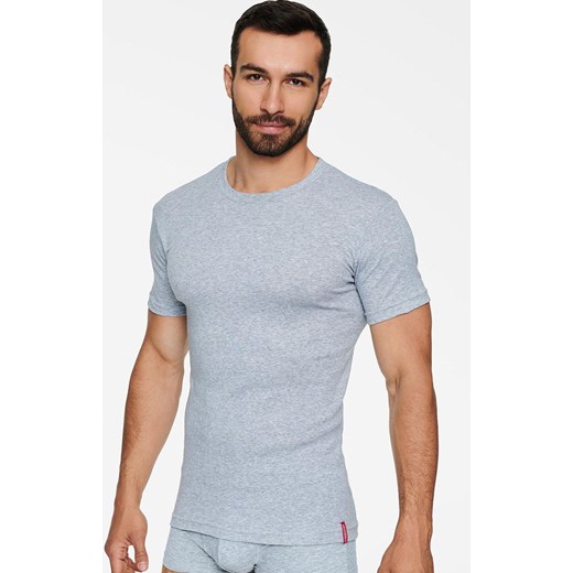 Szary t-shirt męski 1495-J27, Kolor szary, Rozmiar S, Henderson ze sklepu Intymna w kategorii T-shirty męskie - zdjęcie 184127072