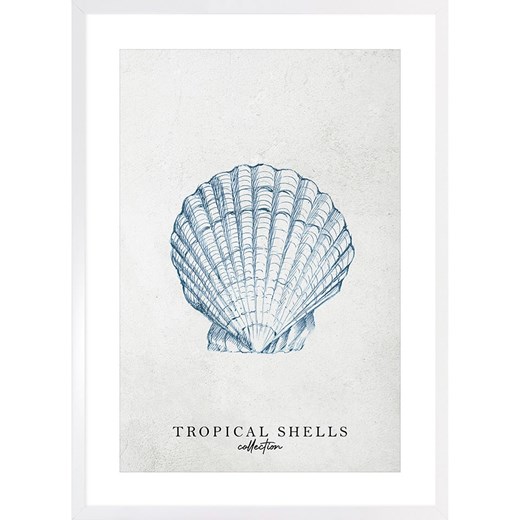Ars Longa Druk artystyczny &quot;Tropical shell collection no. 2&quot; w ramce - 70 x 50 cm ze sklepu Limango Polska w kategorii Obrazy - zdjęcie 184166230
