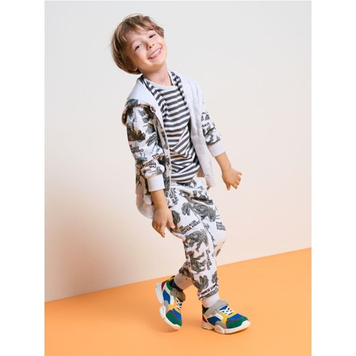 Sinsay - Bluza dresowa z kapturem w dinozaury - szary ze sklepu Sinsay w kategorii Bluzy chłopięce - zdjęcie 184184062