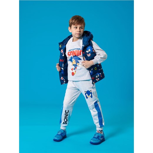 Sinsay - Bluza Sonic The Hedgehog - szary ze sklepu Sinsay w kategorii Bluzy chłopięce - zdjęcie 184190580
